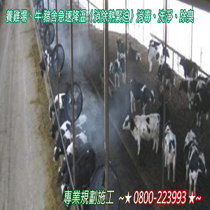 養雞場、牛‧豬舍急速降溫〈消除熱緊迫〉消毒、洗淨、除臭