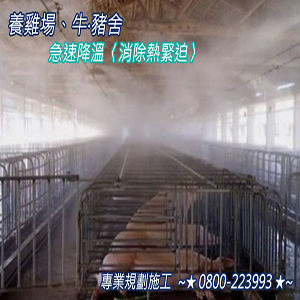 養雞場、牛‧豬舍急速降溫〈消除熱緊迫〉消毒、洗淨、除臭