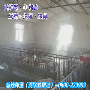 養雞場、牛‧豬舍急速降溫〈消除熱緊迫〉消毒、洗淨、除臭
