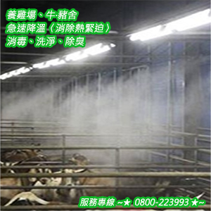 養雞場、牛‧豬舍急速降溫〈消除熱緊迫〉消毒、洗淨、除臭