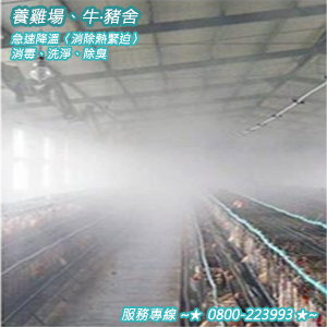 養雞場、牛‧豬舍急速降溫〈消除熱緊迫〉消毒、洗淨、除臭