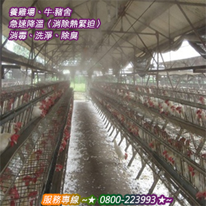 養雞場、牛‧豬舍急速降溫〈消除熱緊迫〉消毒、洗淨、除臭