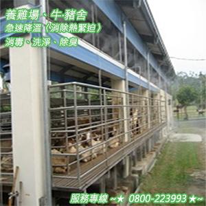 養雞場、牛‧豬舍急速降溫〈消除熱緊迫〉消毒、洗淨、除臭