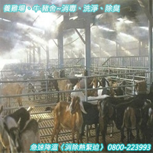 養雞場、牛‧豬舍急速降溫〈消除熱緊迫〉消毒、洗淨、除臭