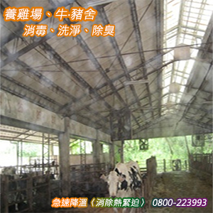 養雞場、牛‧豬舍急速降溫〈消除熱緊迫〉消毒、洗淨、除臭