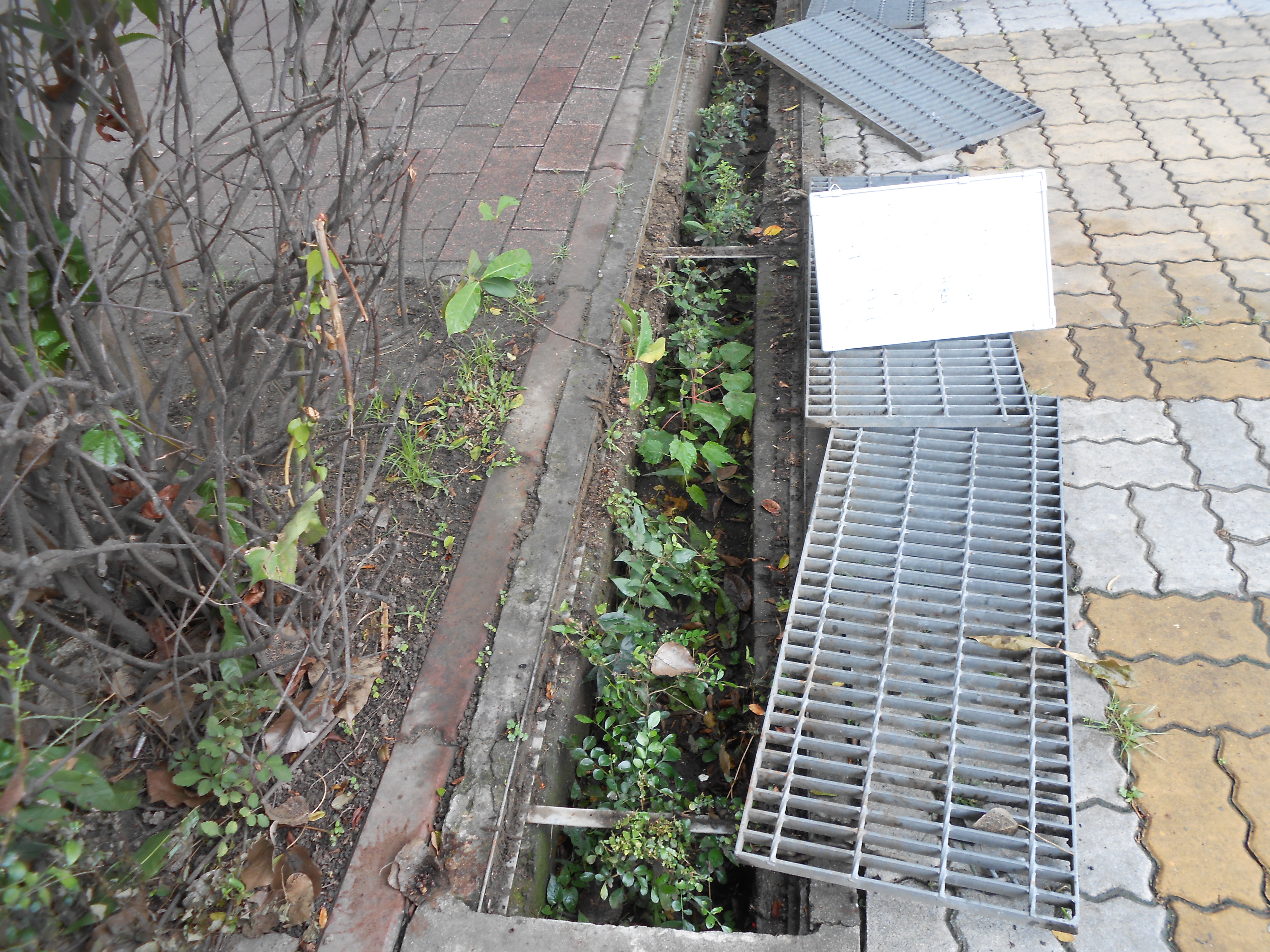 中正公園清洗水溝