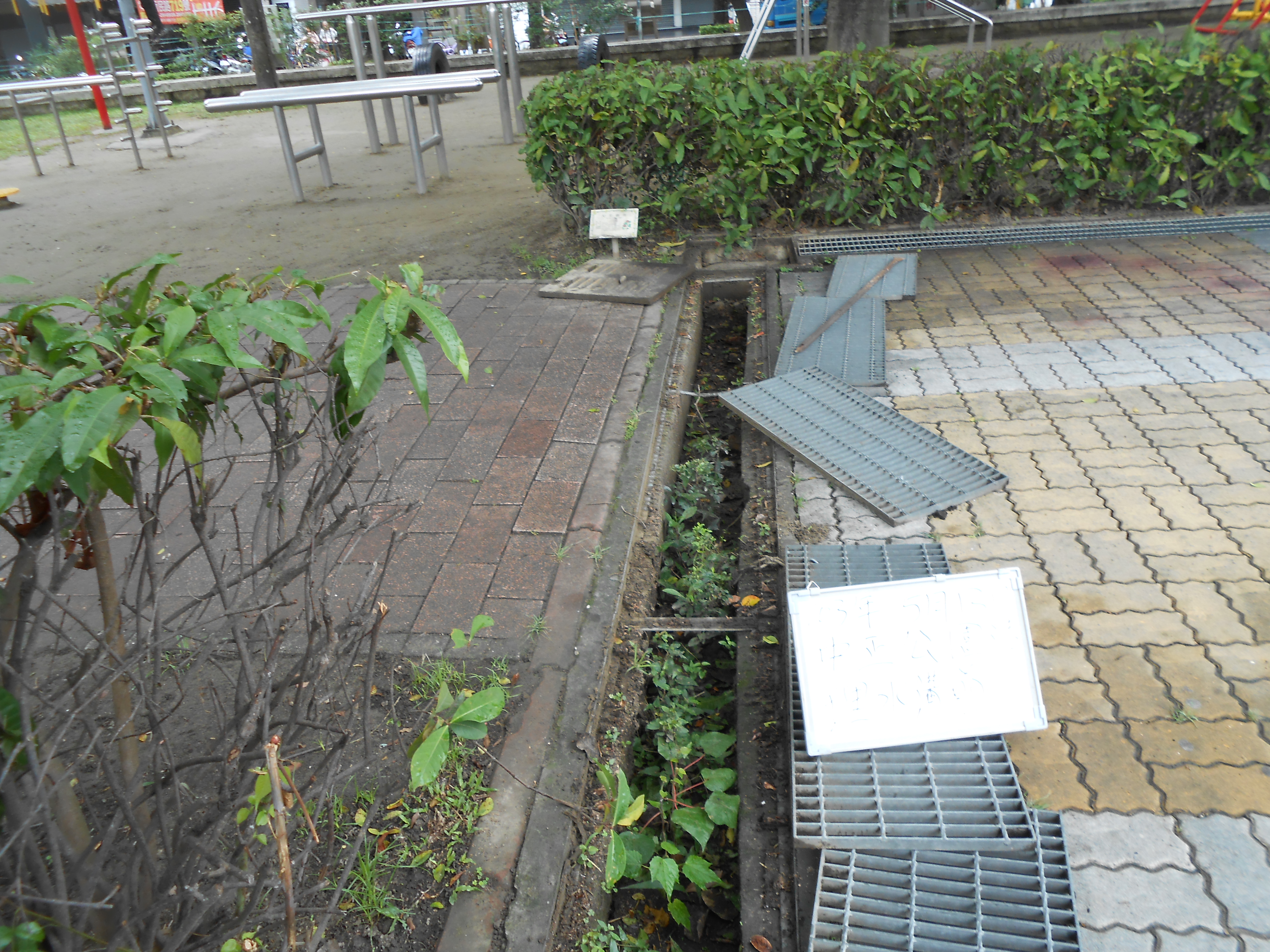 中正公園清洗水溝