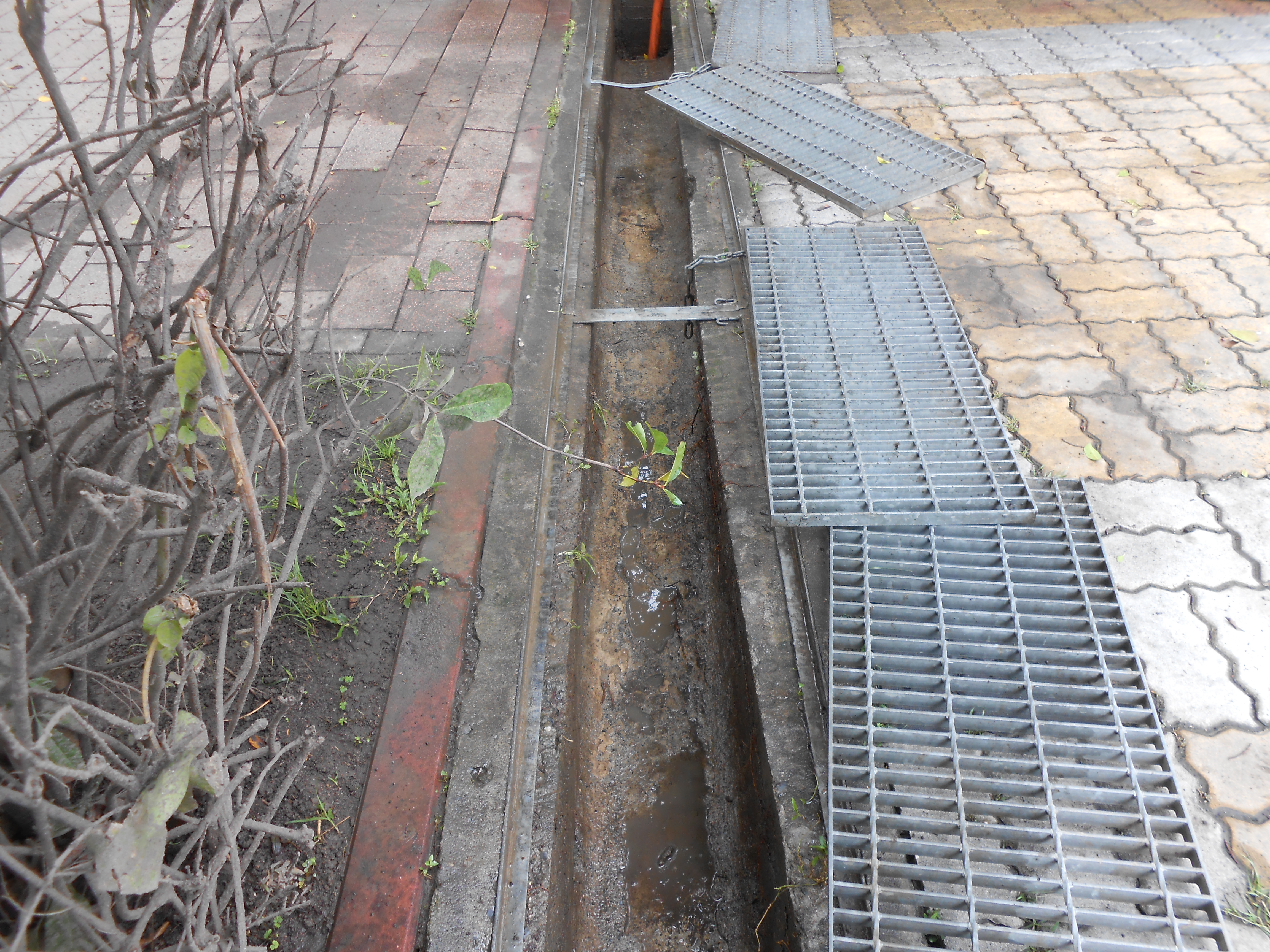 中正公園清洗水溝