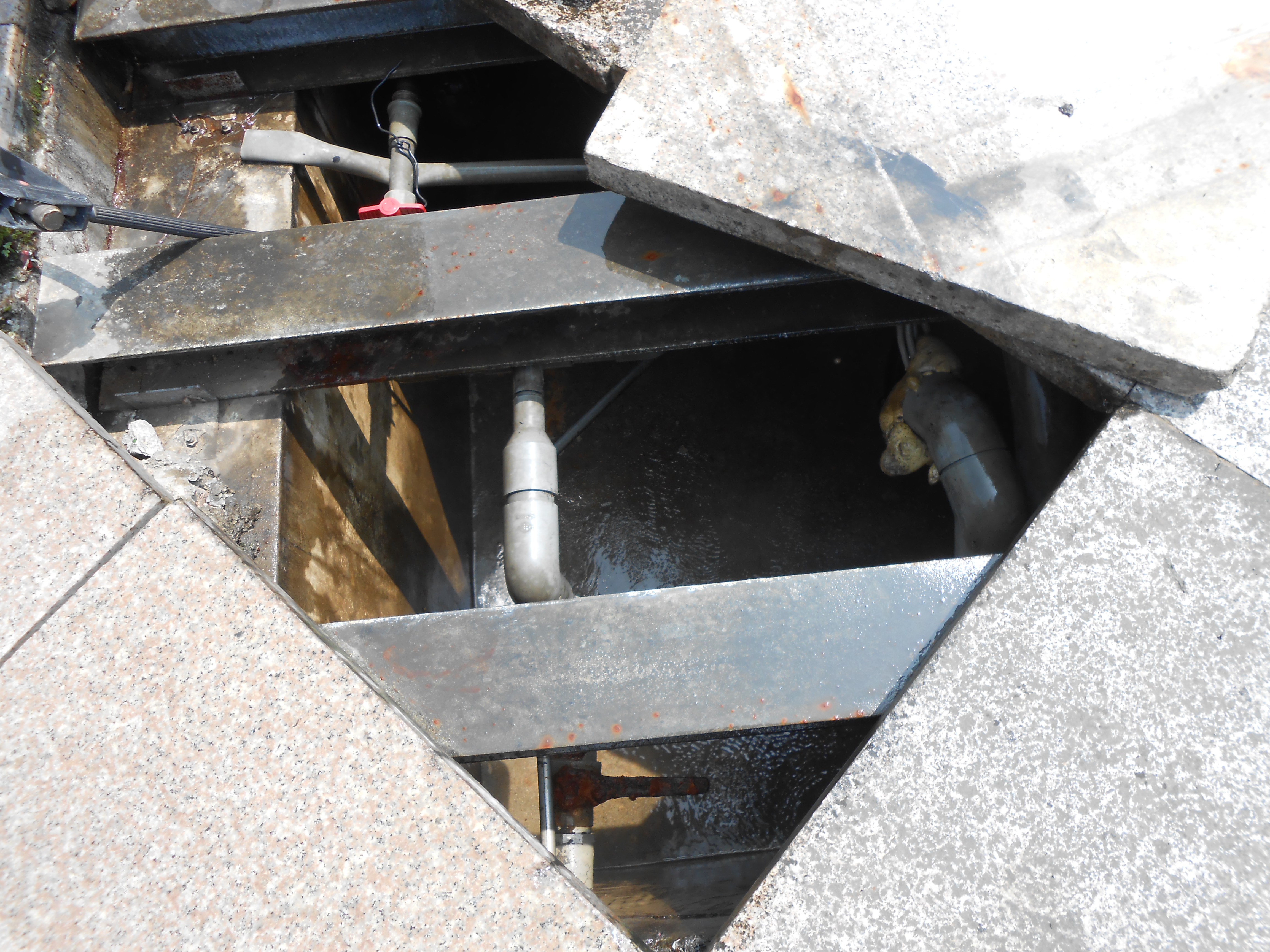 中正公園清洗噴水池