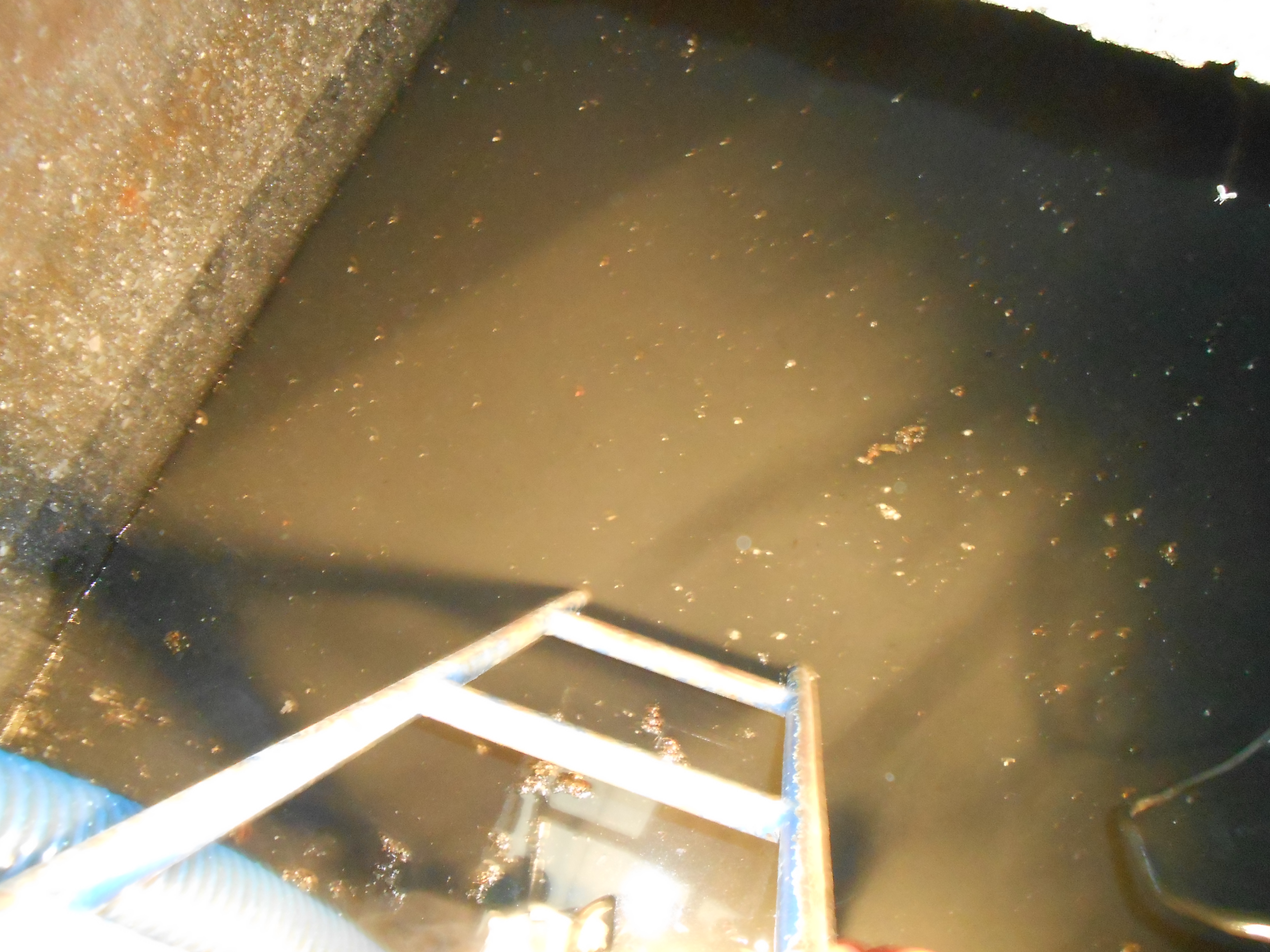 民和國中污水池清理