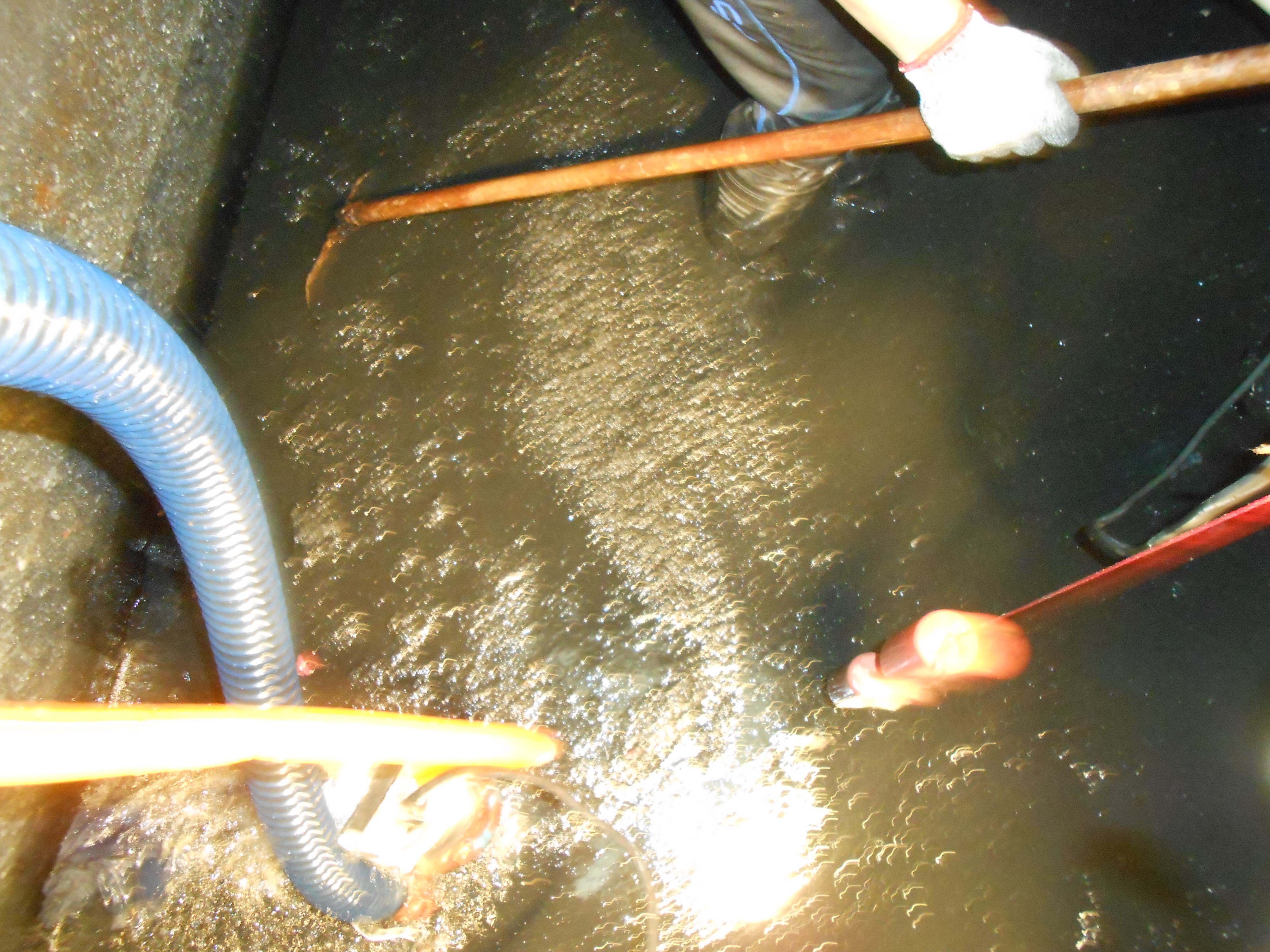 民和國中污水池清理