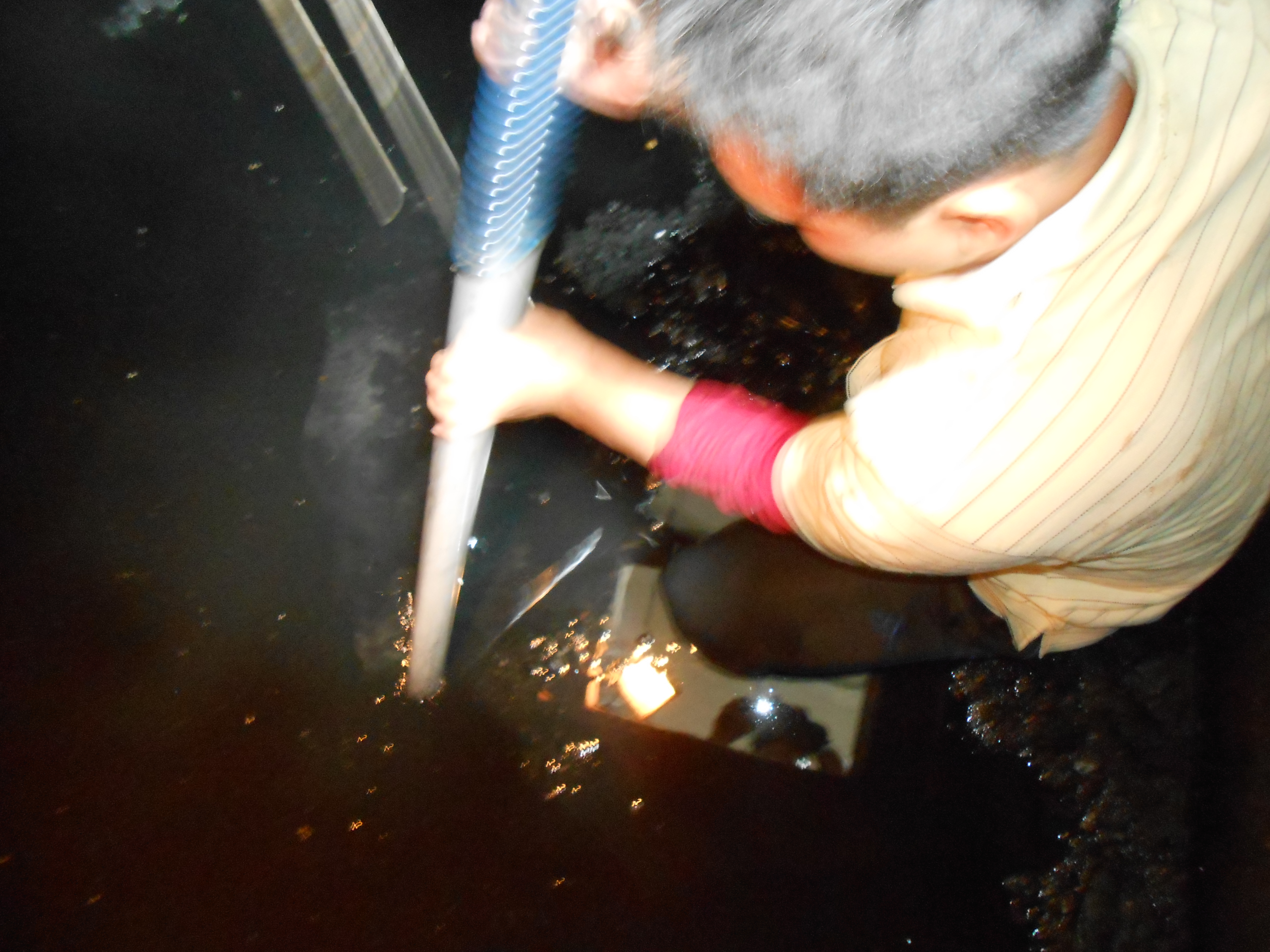 民和國中污水池清理