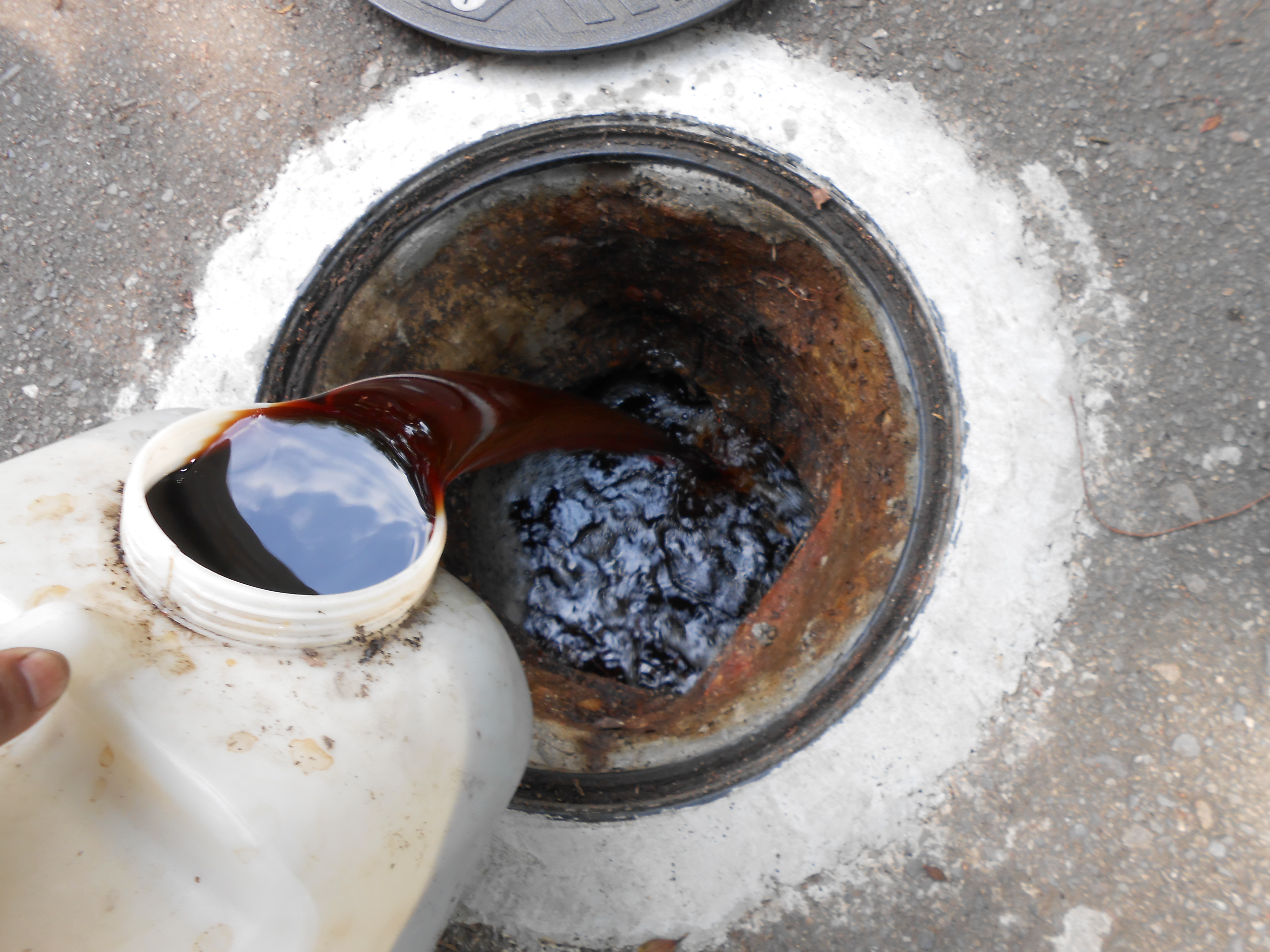 協同中學化糞池倒生物菌