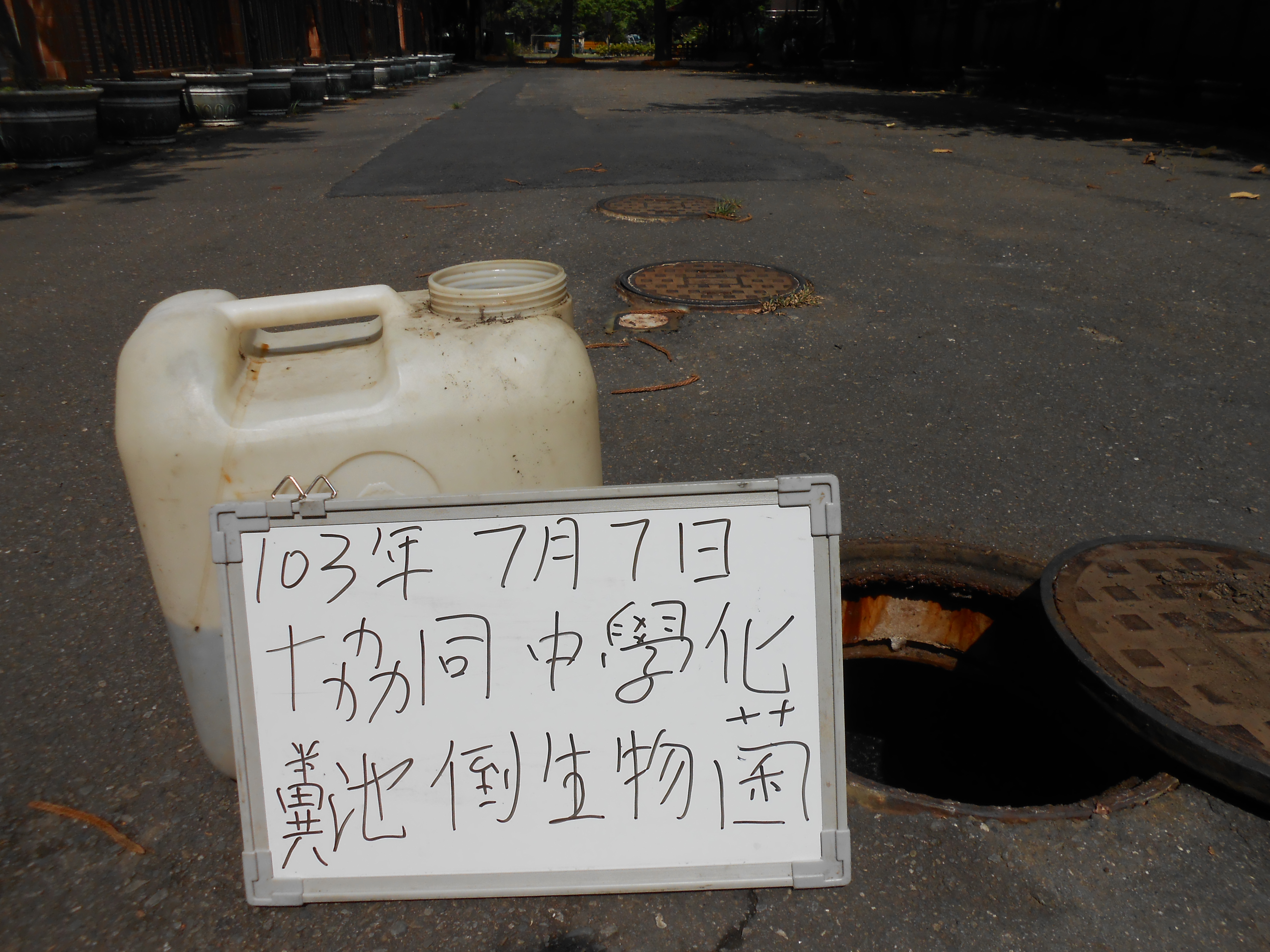 協同中學化糞池倒生物菌