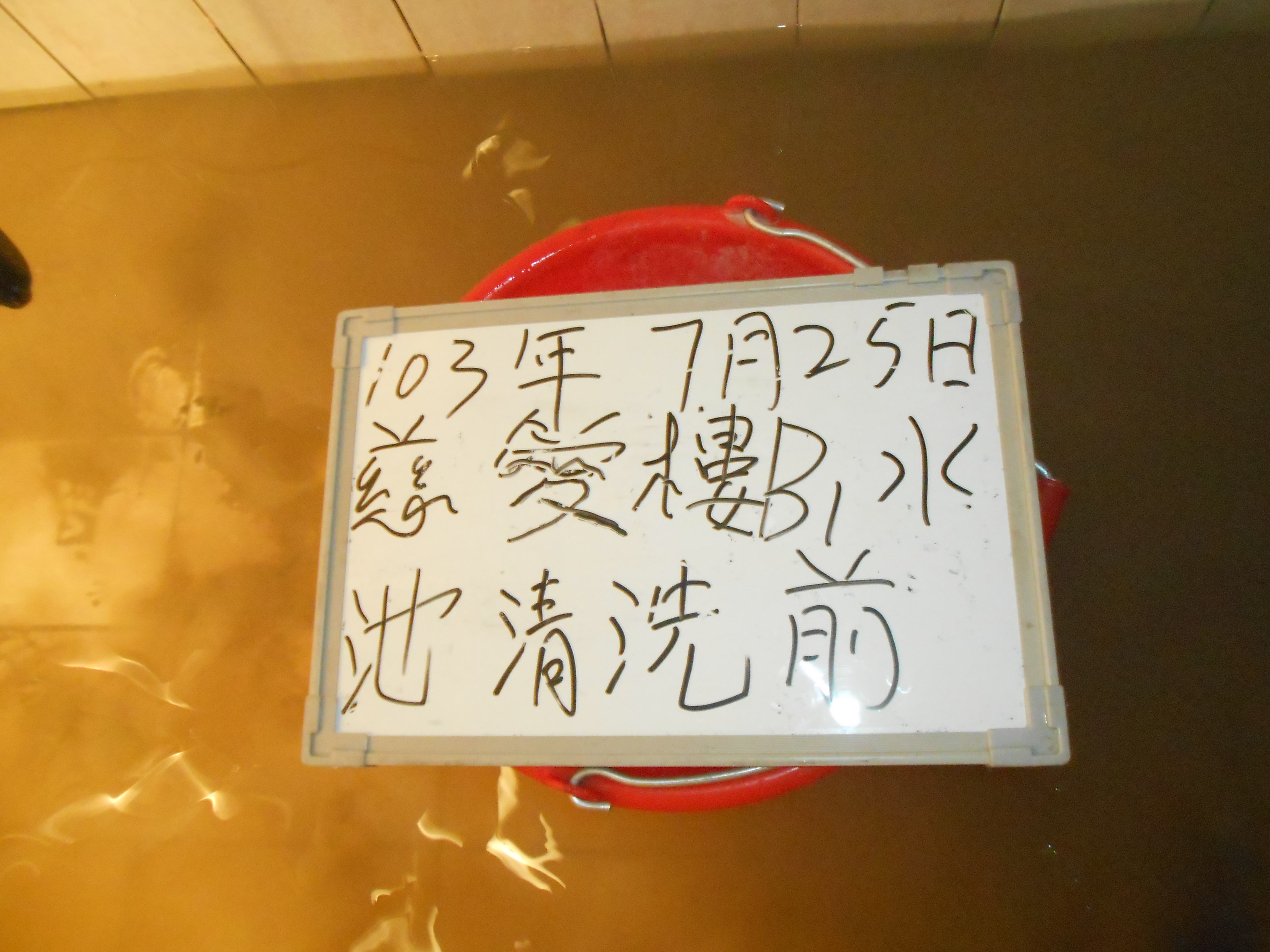 嘉義基督教醫院水塔清洗