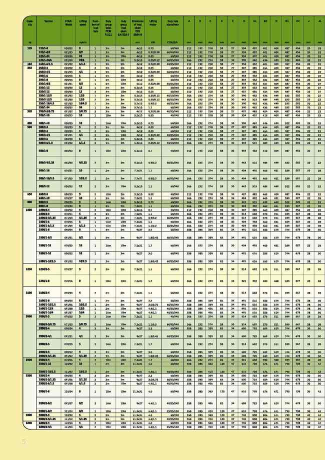 6.三相電動鍊條吊車125kg-6300kg