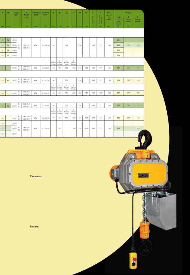 15.三相電動鍊條吊車4000kg-25000kg