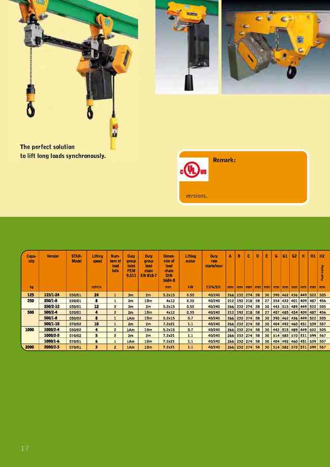 18.電動鍊條吊車-特殊應用