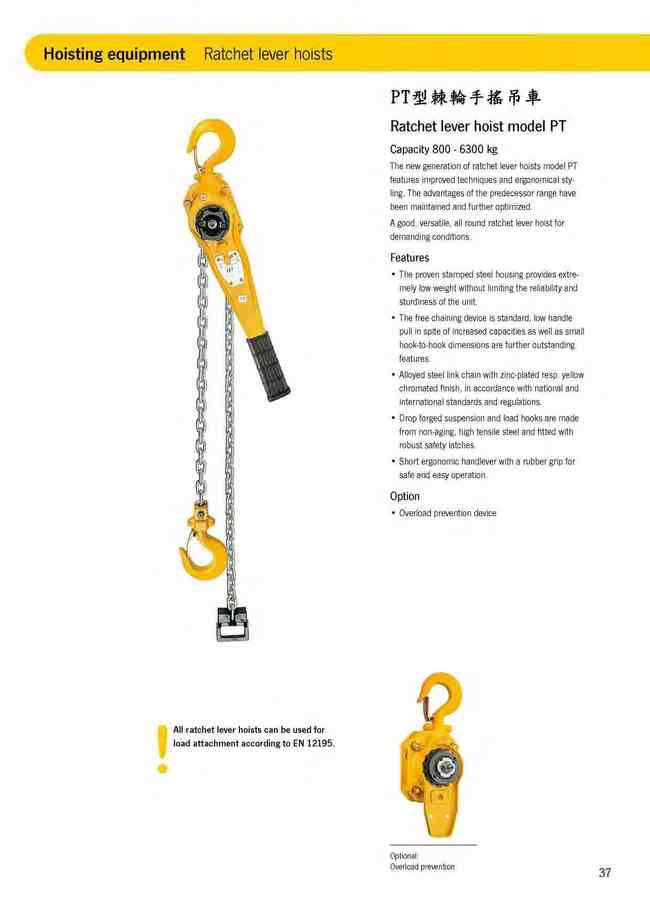 37.PT型棘輪手搖吊車