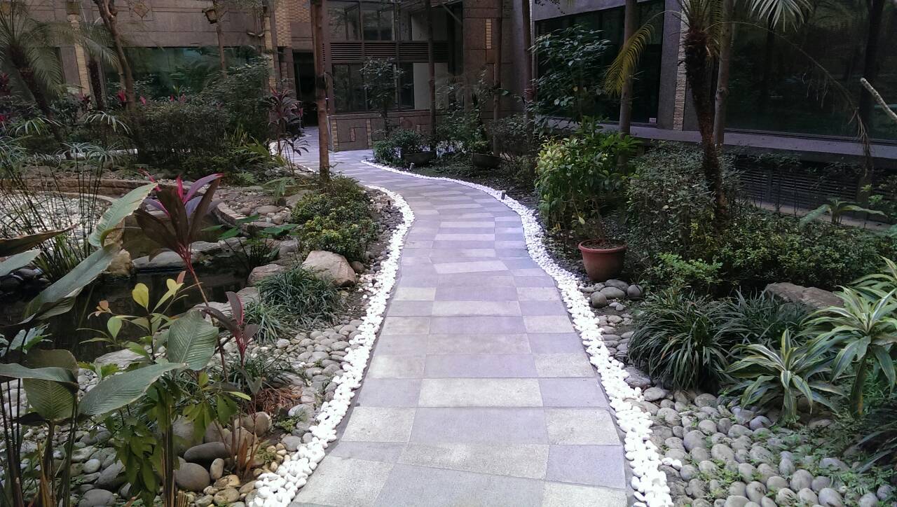 采荷天中庭步道