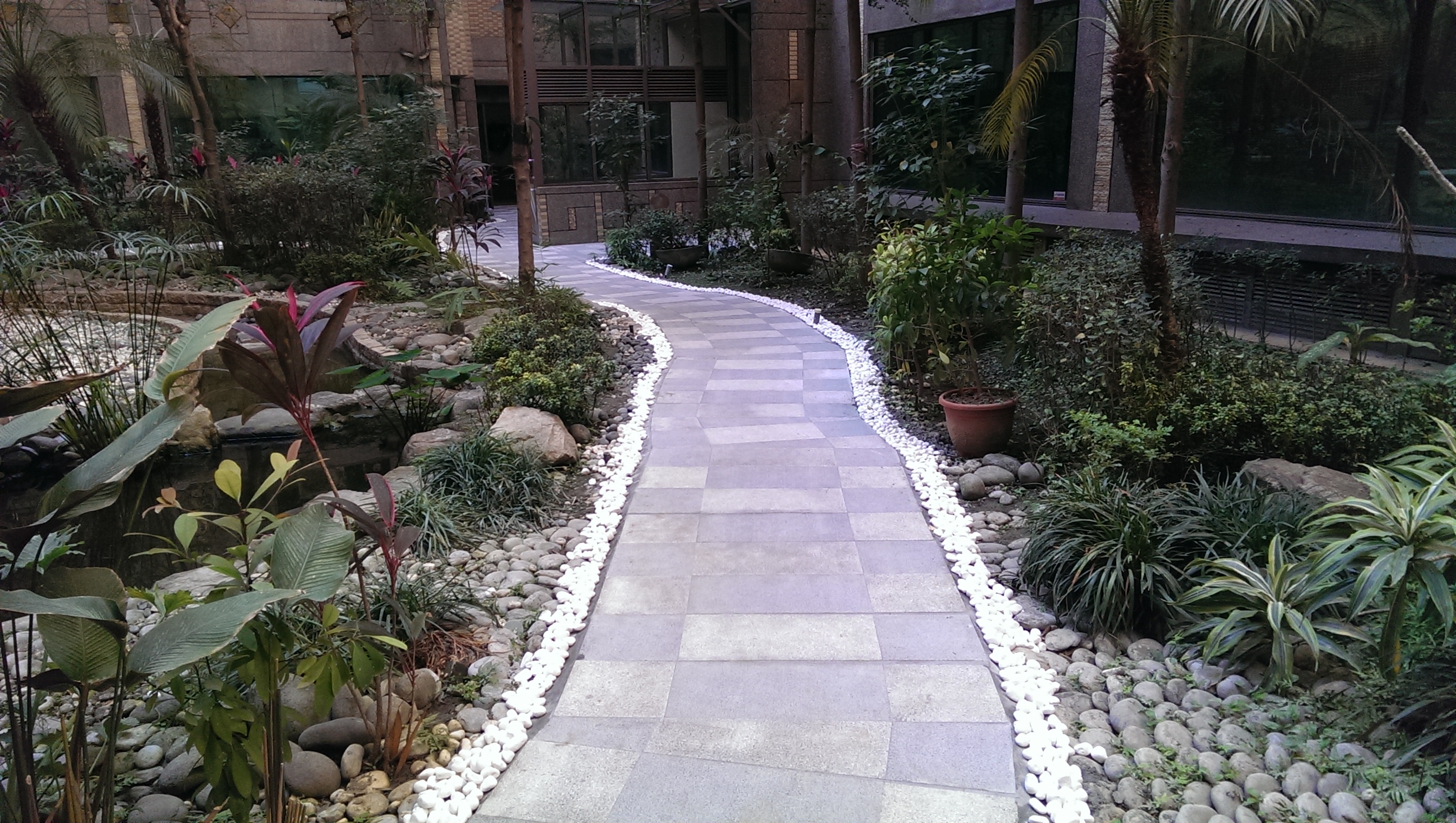 采荷天中庭步道