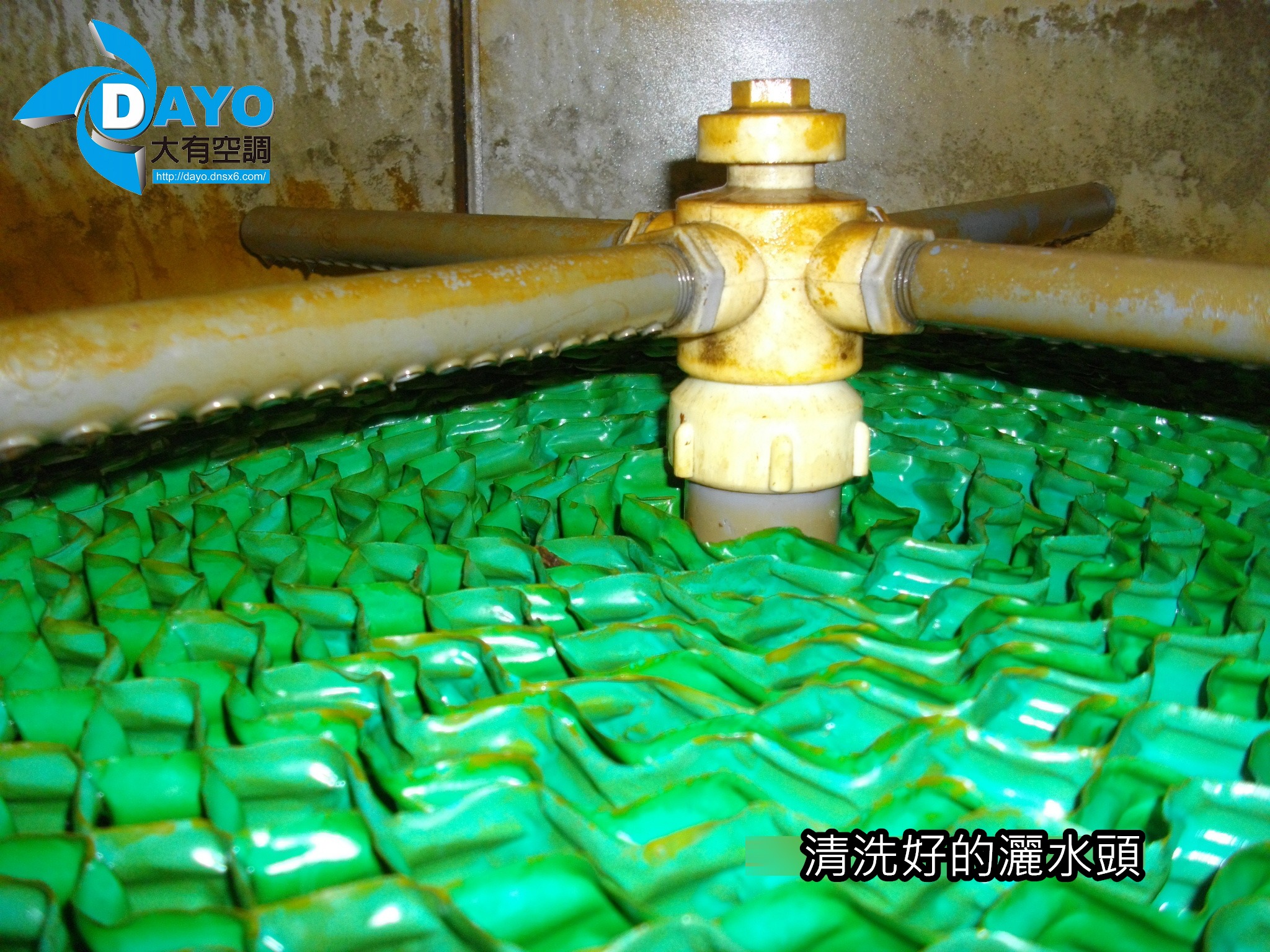 新北市板橋國民小學