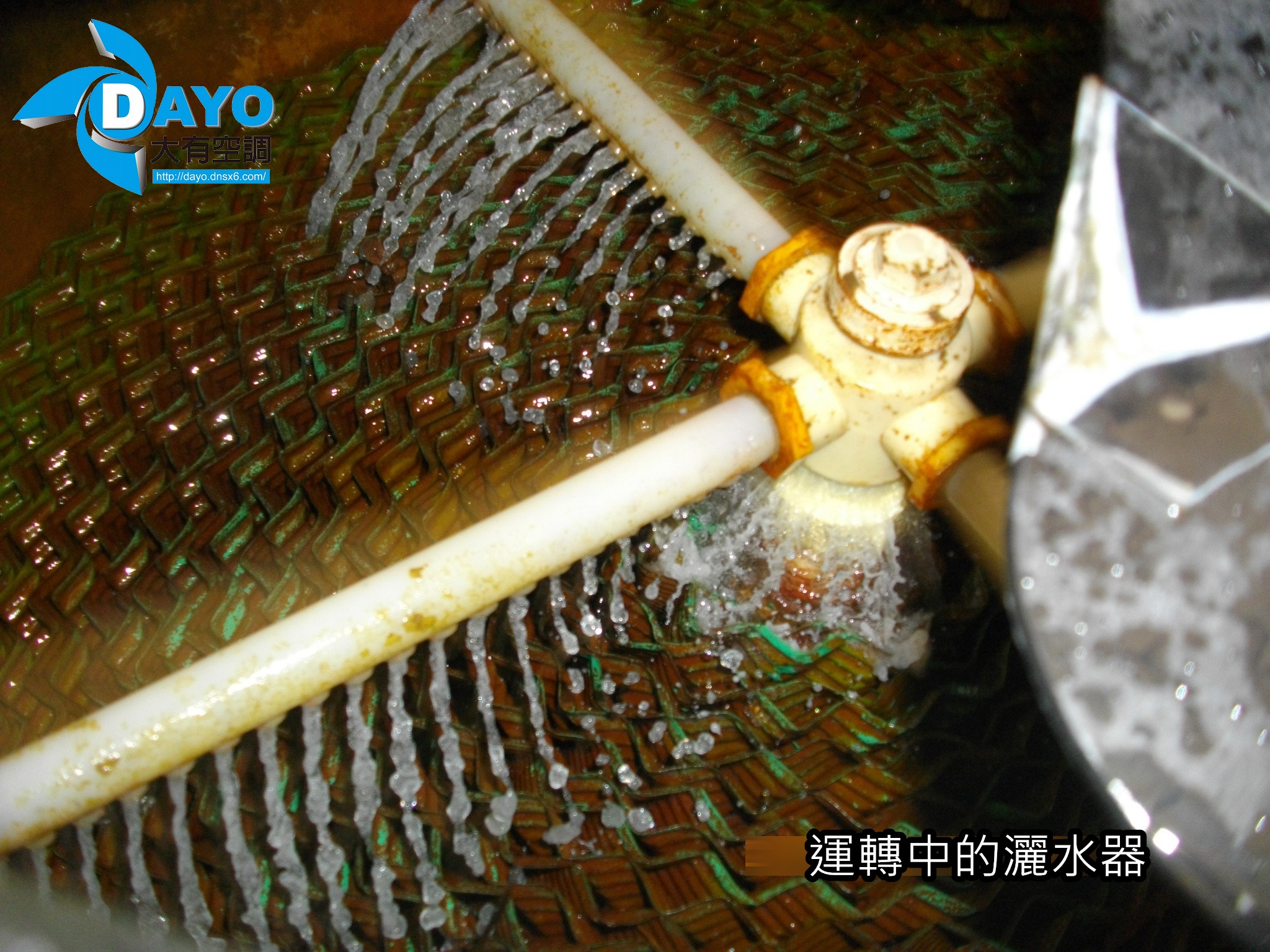 新北市板橋國民小學