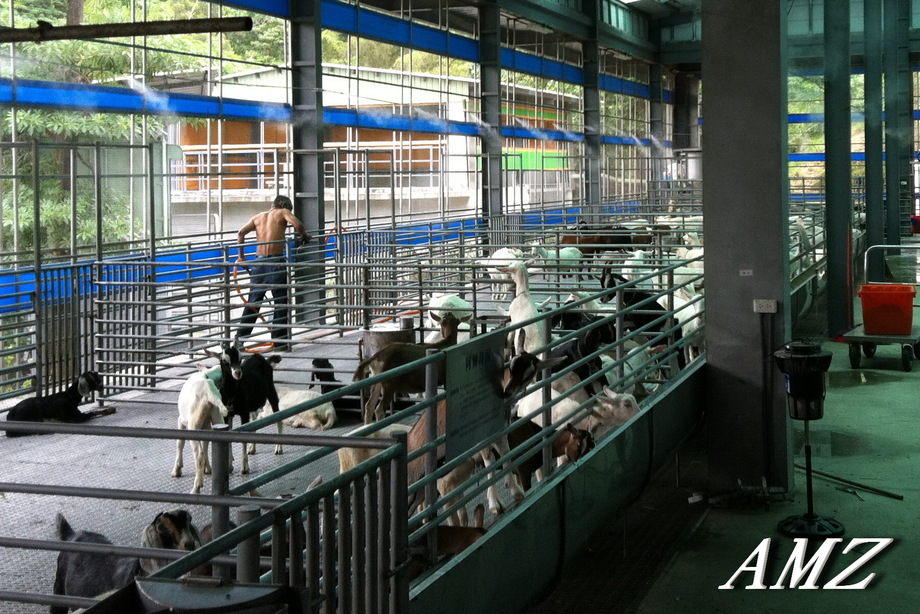 嘉南羊乳高雄牧場