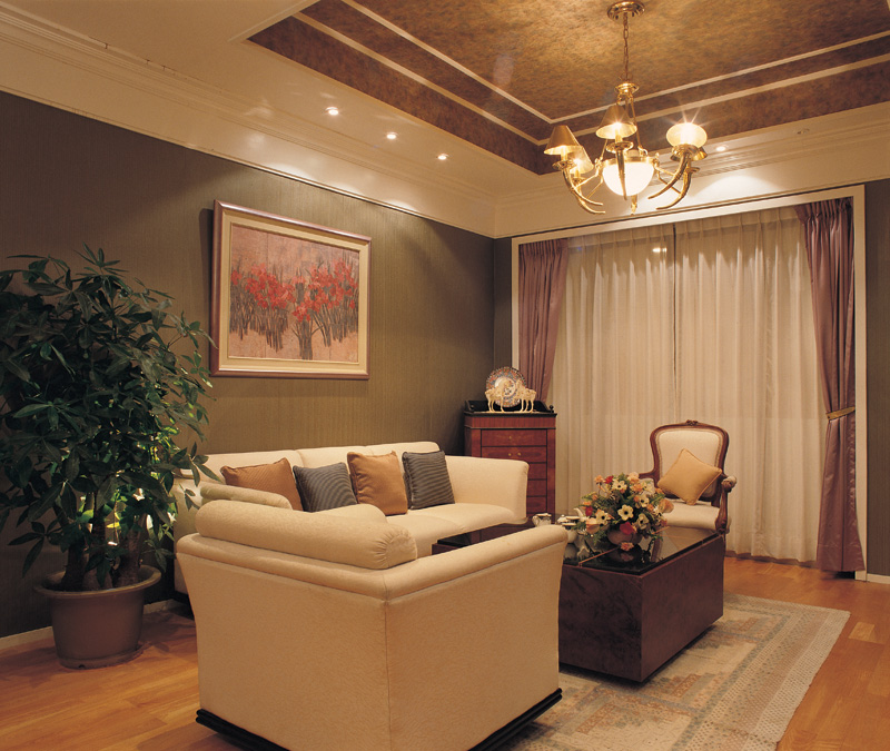 專業清潔技術處理