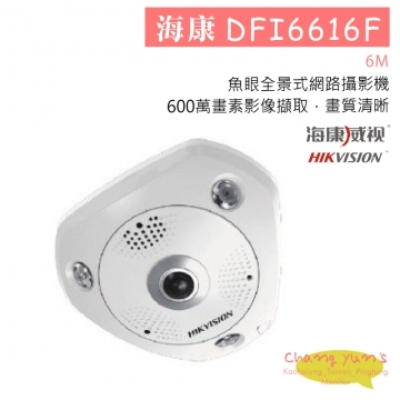 DFI6616F