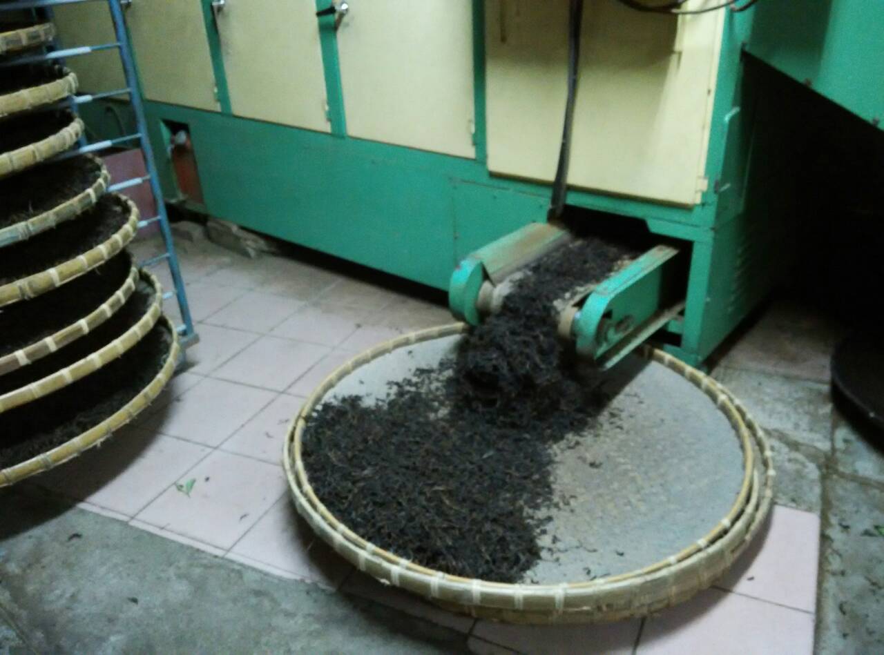 茶葉乾燥