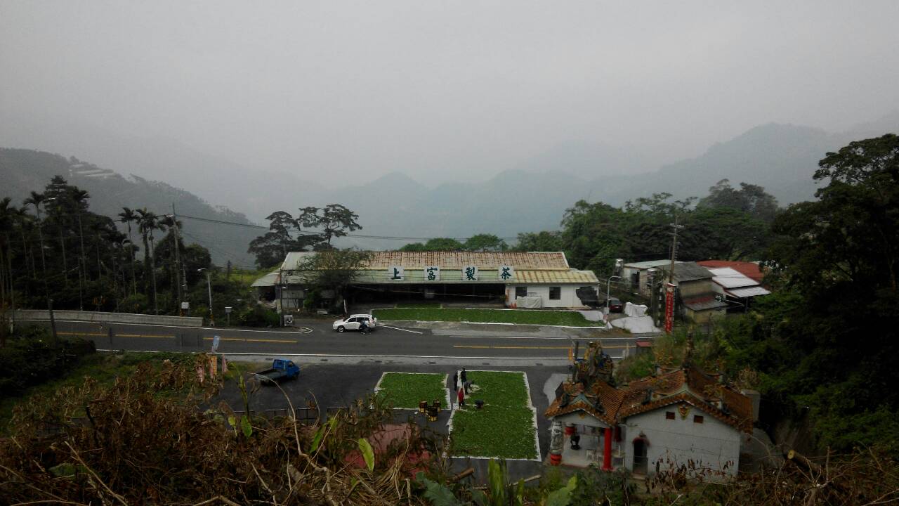 茶廠全景