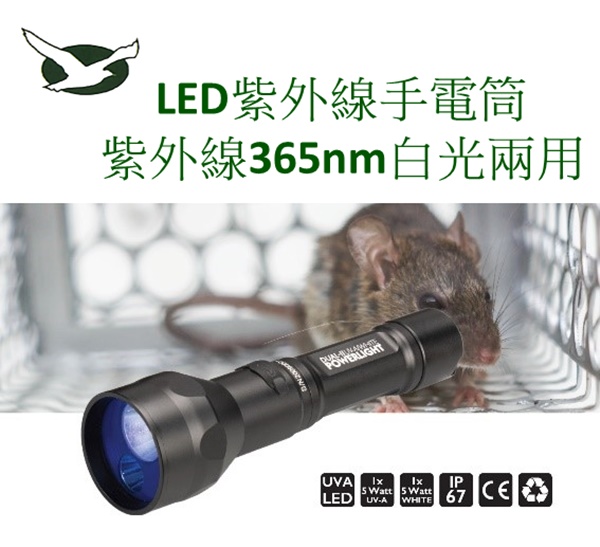 LED紫外線手電筒