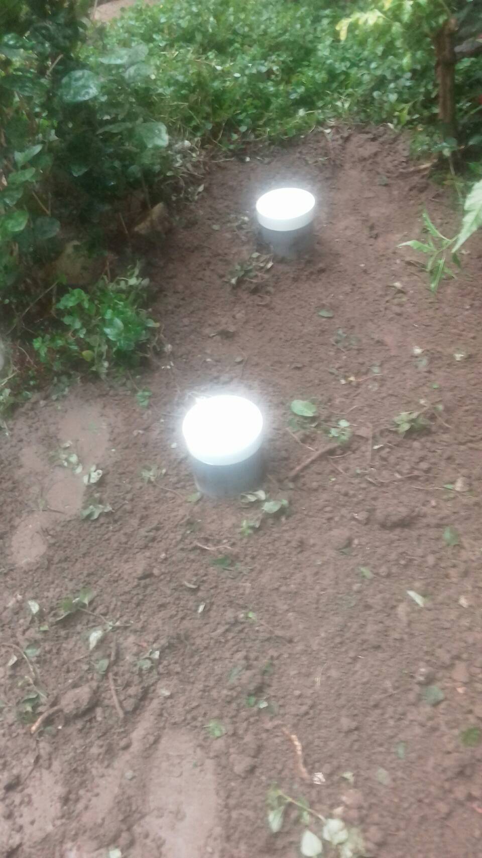 污水處理槽污泥抽除(化糞池)，