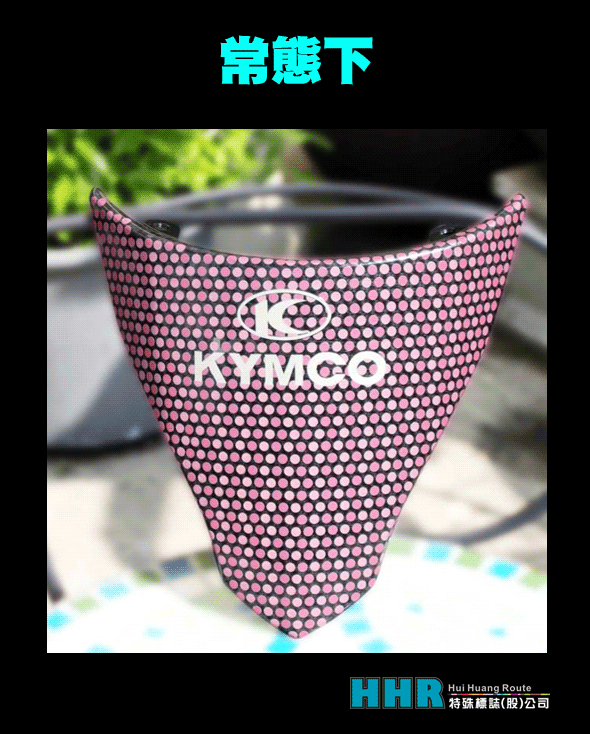 機車前檔泥板-點點