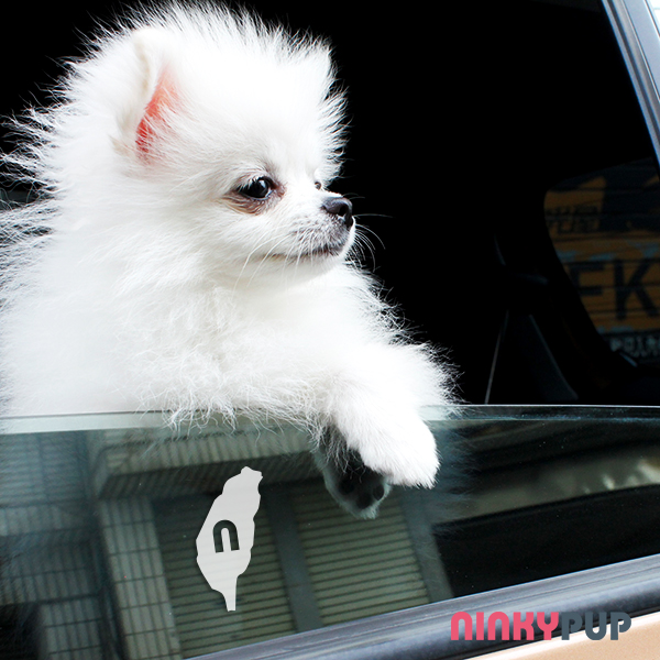 毛孩小物-台灣NP0063S-W2