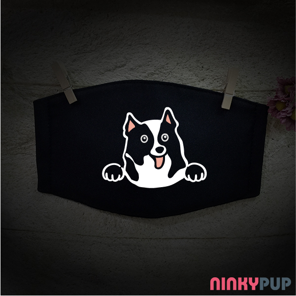 邊境牧羊犬  萌犬口罩