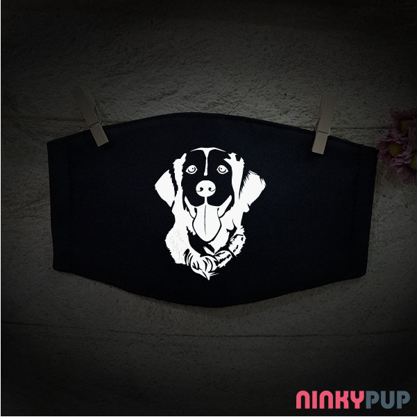 台灣反光口罩嚴選