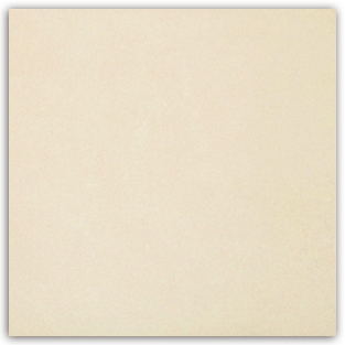 負離子健康有氧磚