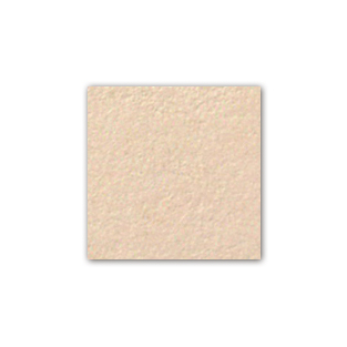 負離子健康有氧磚