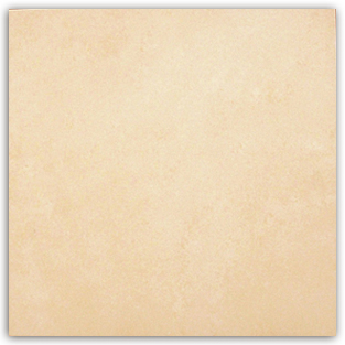 負離子健康有氧磚