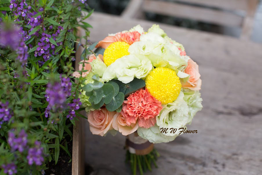 F008--升級款系列-4