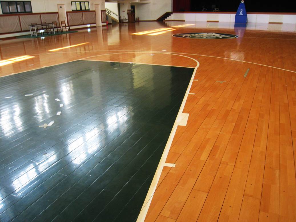 山毛櫸球場地板