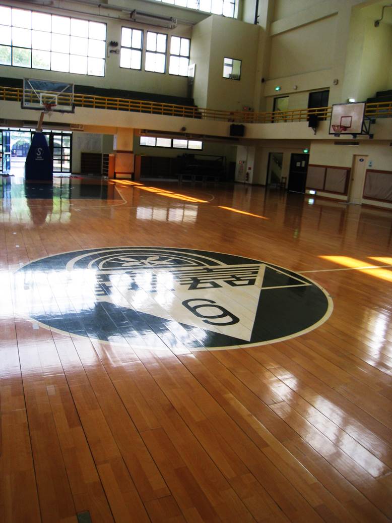 山毛櫸球場地板