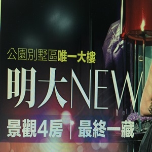 台南太子明大New建案