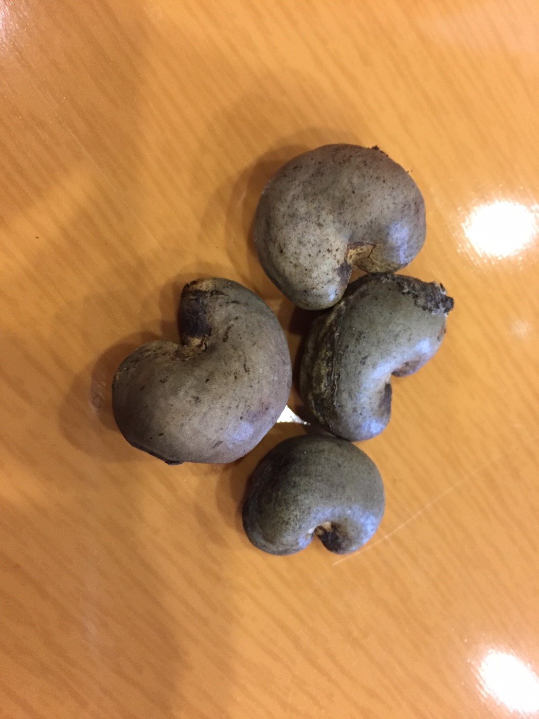 北港農工-均質化教師專業學習社群研習