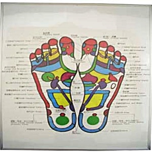 圖-腳底穴道