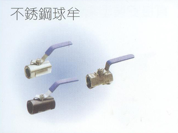 不銹鋼球牟