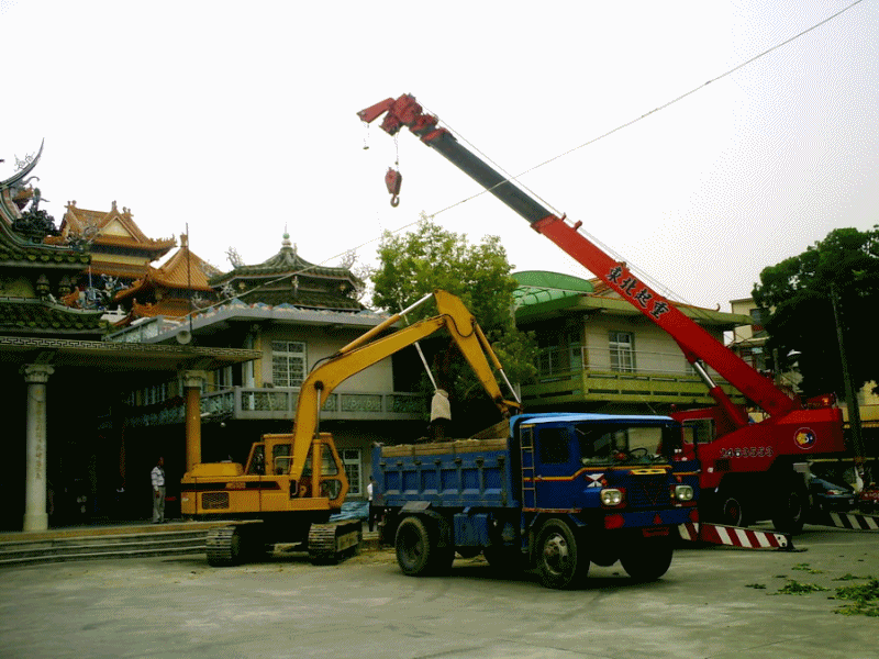 老樹移植3薦善堂