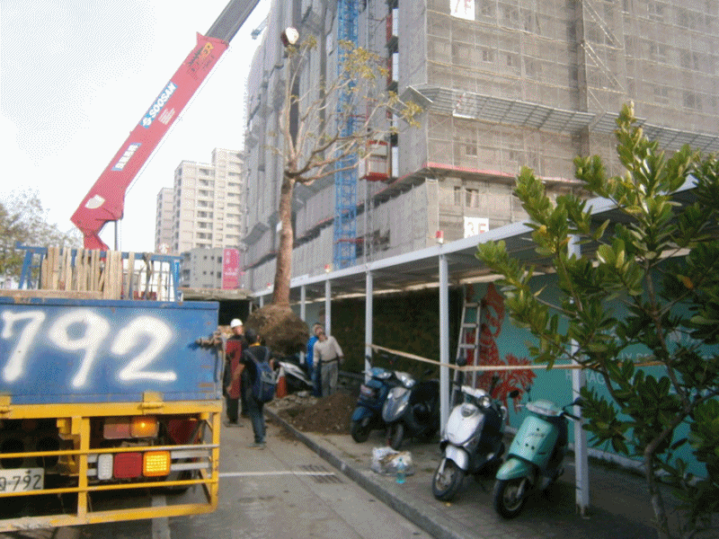 老樹移植7遠雄建設A